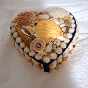 A Handmade Seashell Trinket Jewelry Box Beachy Coastal Nautical Home Decor